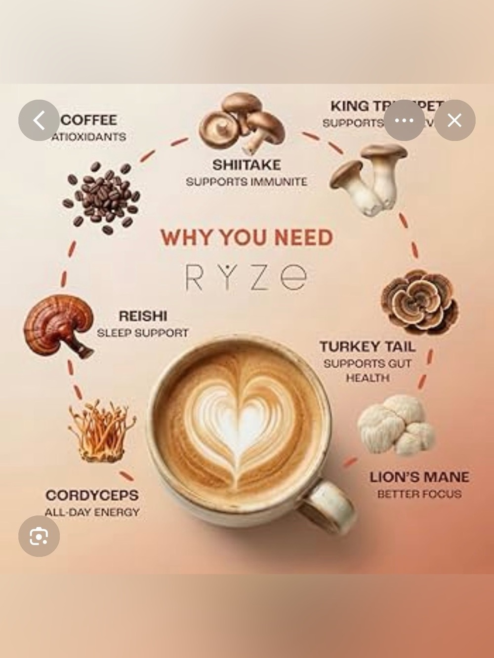 Mushroom Coffee One Bag 6.3oz : Two mini bag probiotic creamer: one scoop : NEW - Picture 6 of 16